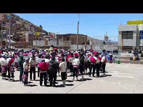 Los rosales de Rosaspata Huancané - (regional Puno)