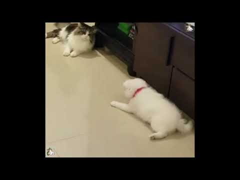 Meet Zian and Yashee