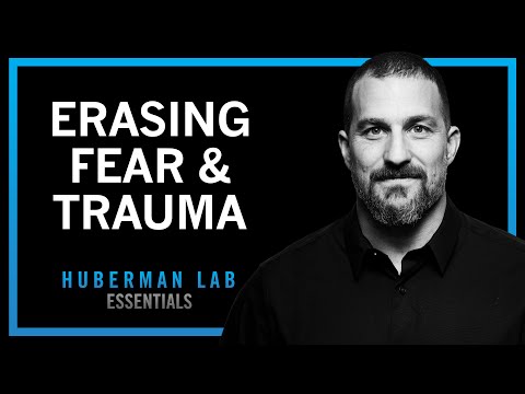 @hubermanlab - "Erasing Fears & Traumas Using Modern Neuroscience | Huberman Lab Essentials"