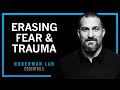 Erasing Fears Traumas Using Modern Neuroscience Huberman Lab Essentials