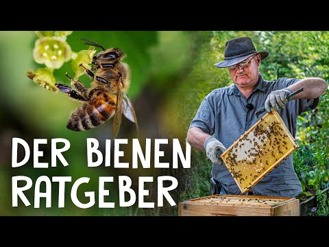Keeping bees in your own garden! 🐝 - Basic knowledge and introduction to beekeeping