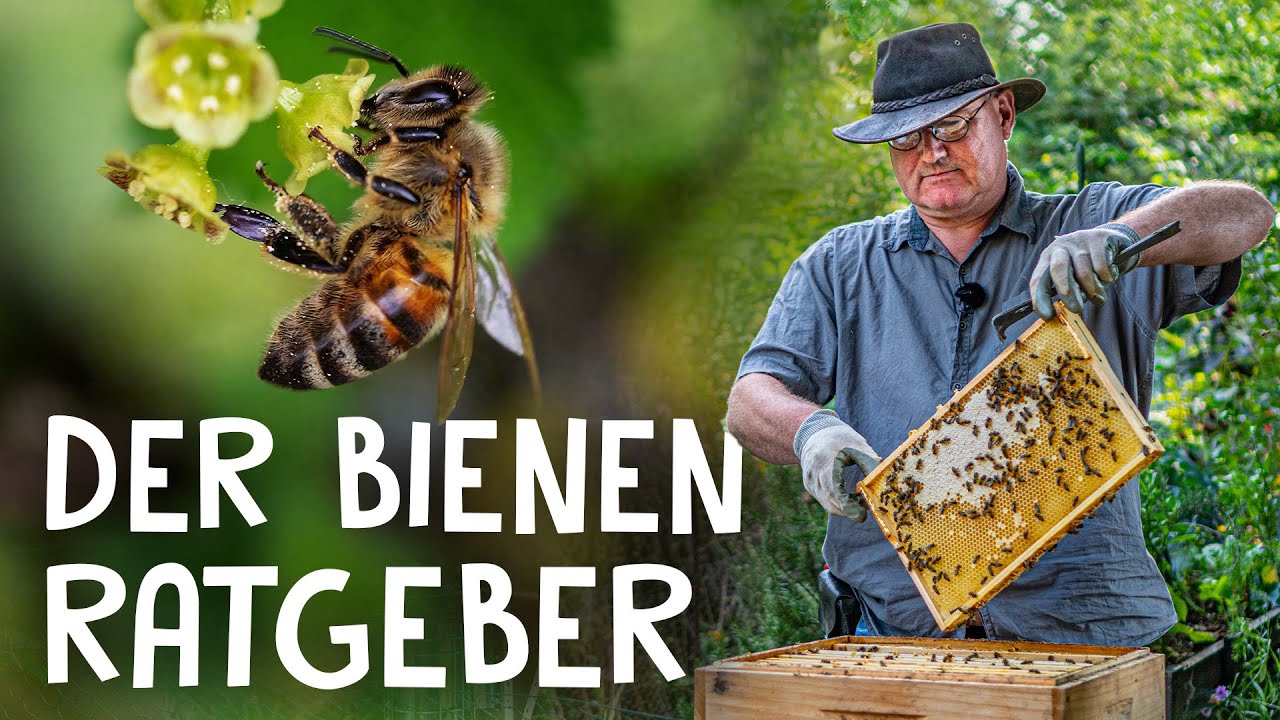 Bienen halten Video 1