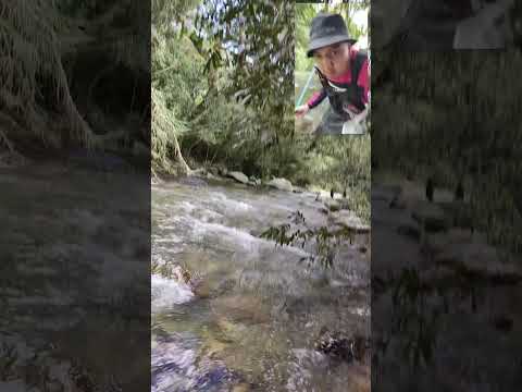 pesca en Onzaga Santander