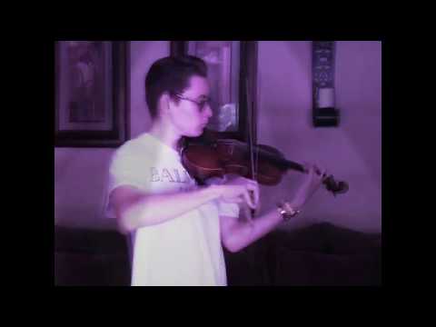 The Way I Are Bebe Rexha Cover/ violin cover