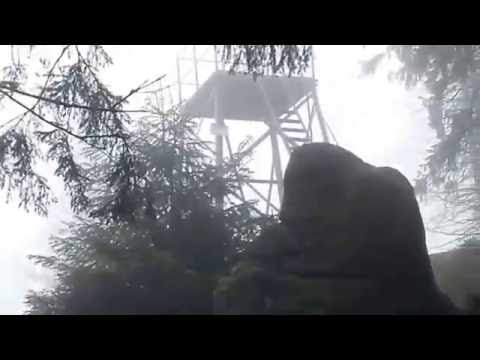 Wolfsklippe Stempelstelle 24 - Wandern im Harz mit der Harzer Wandernadel, Nationalpark Harz