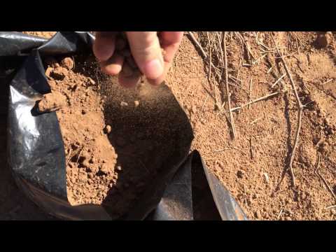 Erde (Soil) in den Pflanzbeutel (Neem)