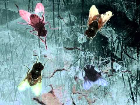 Koca Metallec - Four Flies (Serbian Dubstep)