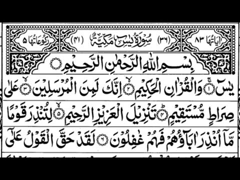 Surah yaseen Surah Mulk |(Ep0024) سورة الملك |  beautiful full Quran recitation|tilawat surah rahman