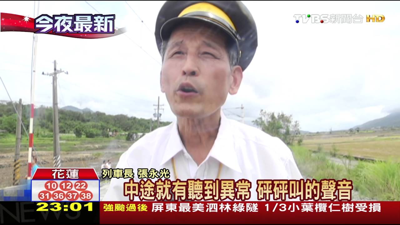 颱風吹落電車線! 台鐵東竹至東里!客困3小時