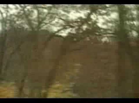 DIVINE RAPTURE - MUSIC VIDEO (1999) BLACK MOON HARVEST