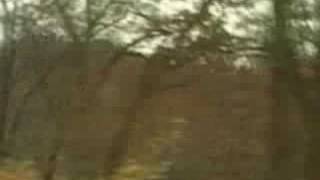 DIVINE RAPTURE - MUSIC VIDEO (1999) BLACK MOON HARVEST
