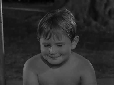 5x36 pt.02 La piscina stregata - Ai Confini Della Realtà (The Twilight Zone)