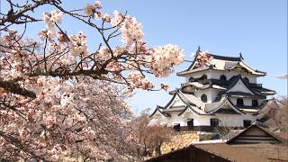 10月1日【びわ湖放送ニュース】彦根城世界遺産登録へ 暫定推薦書をユネスコに提出