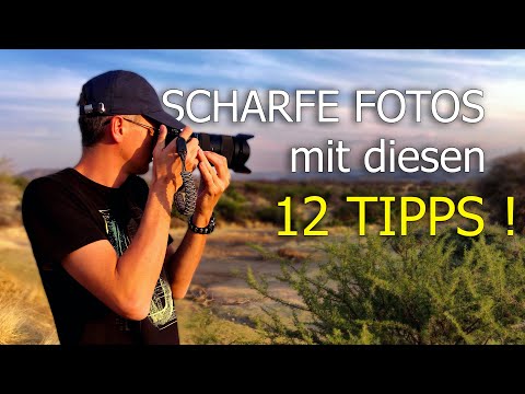 Fotos unscharf? 📸 12 Tipps für bessere und scharfe Fotos!  ( Anfänger )