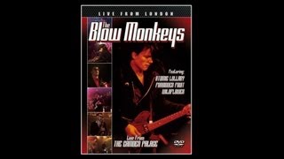 Blowmonkeys - Wildflower video