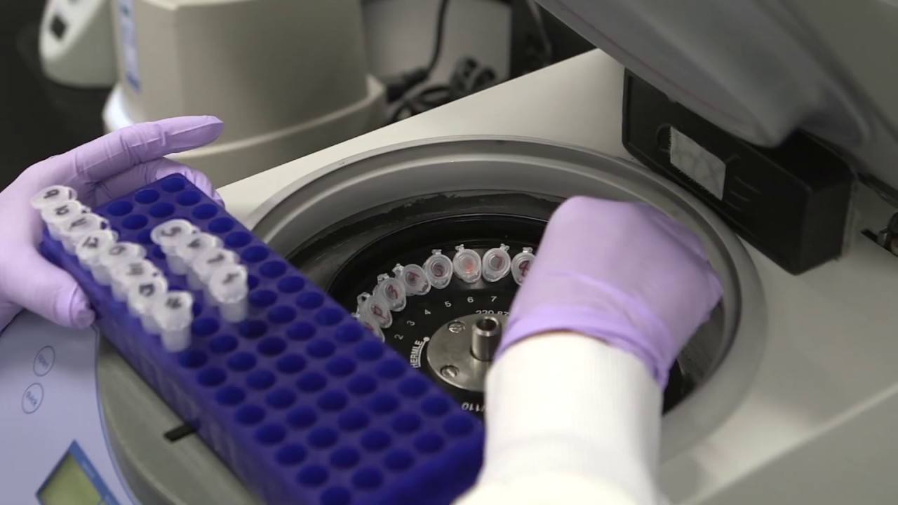 Pharmaceutical Testing at SGS