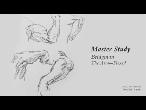 Master Study -- Bridgman, The Arm Flexed [Pencil on Paper]