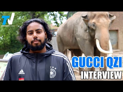 GUCCI QZI Interview im Berliner Zoo | Jäger & Sammler EP, Frankfurt, Signing | TV Strassensound