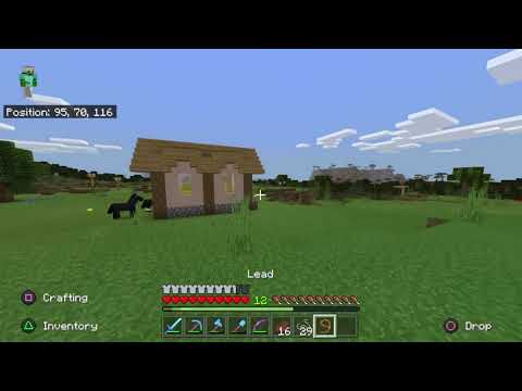 Minecraft: S5E14