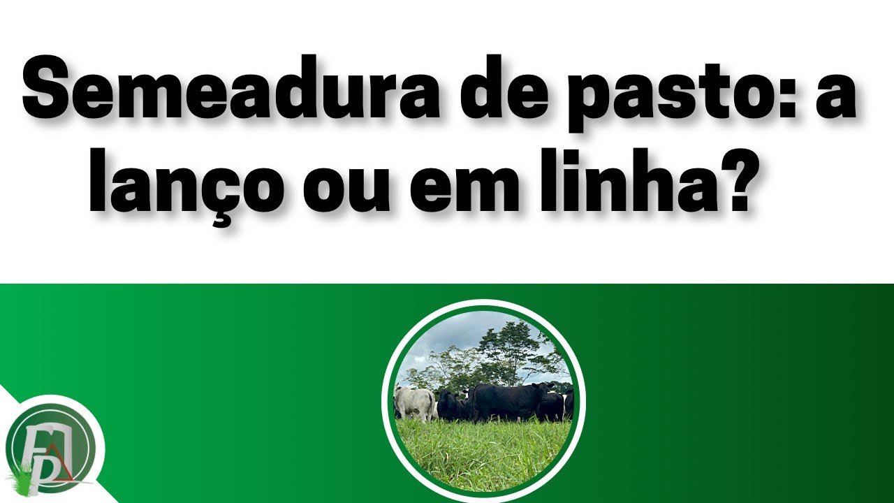 SEMEADURA DE PASTO: A LANÇO OU EM LINHA?