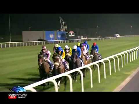 Cirrus Des Aigles - Dubai Sheema Classic 2012