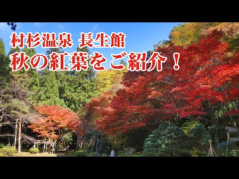 【風雅の宿 長生館】秋の紅葉をご紹介！