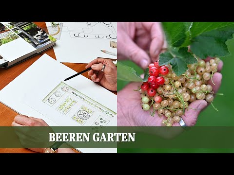 Gartenplanung Beeren Naschgarten - Den Lieblingsgarten selbst gestalten