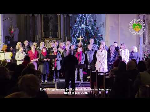 Zbor Udruge umirovljenika Grada Delnica na koncertu  "Božić je judi 2025"