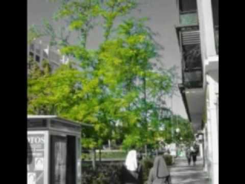 BaDaJoZ en 1 color --- (PÁSALO)