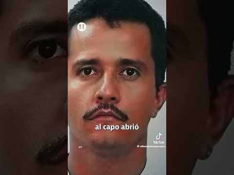 Las Últimas Horas del Mencio