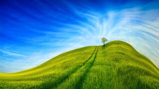 Calm and Peaceful Relaxing Music | Relaxing Music for Sleep, Relaxation Music | Relax Music