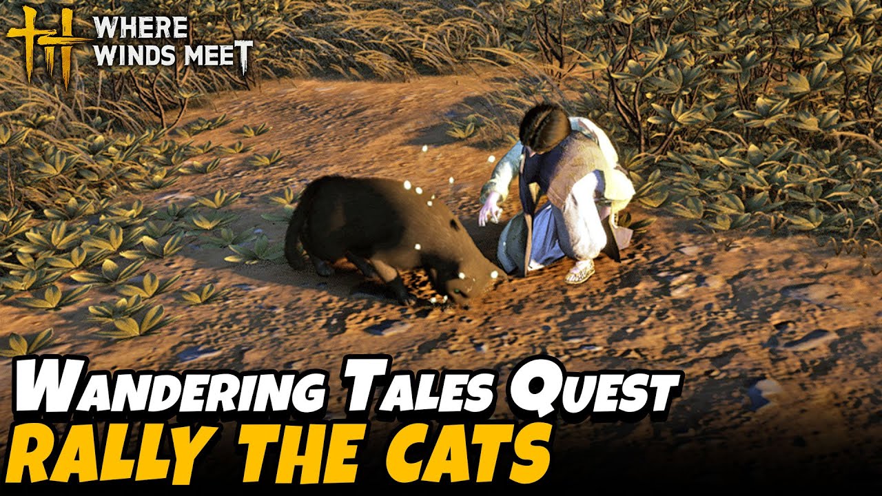 Rally the Cats - Mercyheart Monastery Part 2 (Wandering Tales Quest)