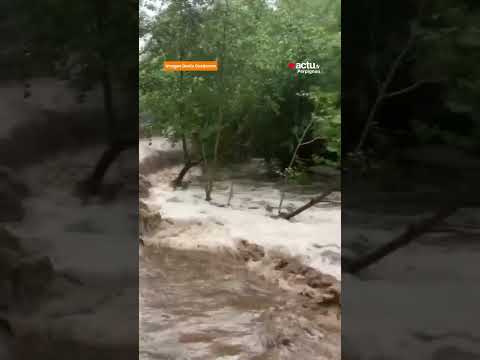 Vidéo YouTube
