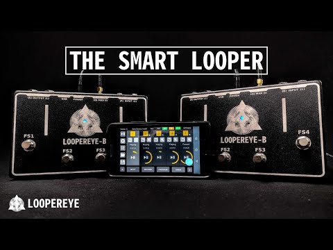 LOOPEREYE-B, The Smart Looper image 6