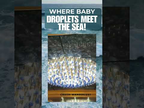 Thumbnail for WHERE BABY DROPLETS MEET THE SEA! #cruiseexperiences #princesscruises