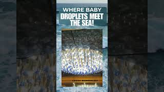 WHERE BABY DROPLETS MEET THE SEA! #cruiseexperiences #princesscruises