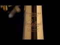 Bach Stradivarius 190SL65GV Bb-Trompette Argentée thumbnail 13