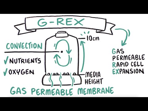 G-Rex - Revolutionizing Cell Therapy Manufacturing