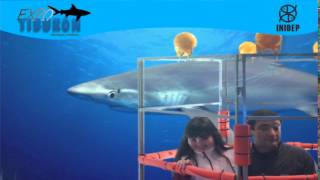 DIA 3 Expo Tiburon133