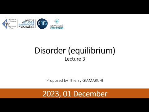 Disorder (equilibrium) – Thierry Giamarchi