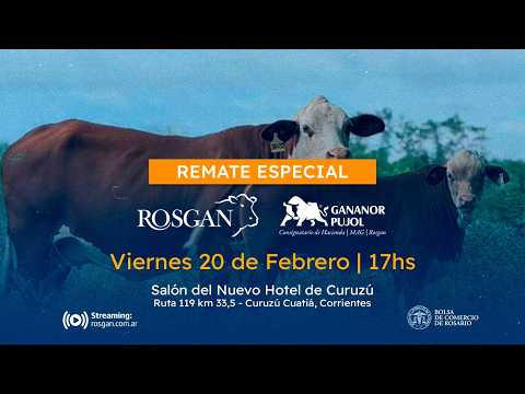 Remate Especial desde Curuzú Cuatiá - Gananor Pujol