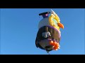Owlbert Einstein Hot Air Balloon