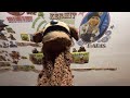 Rowlf The Dog And Fozzie Bear Sing Happy Days Are Here Again