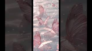 Download lagu 🦋Butterfly wallpaper ideas!🦋 mp3 Download lagu 🦋Butterfly wallpaper ideas!🦋 mp3