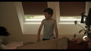 Cool Pets, Cozy Kids – Velux Blinds for Happy Homes!