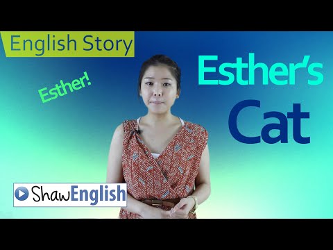 English Grammar Course for Beginners Learn Basic English Grammar with Esther