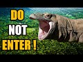 Komodo Dragon In Hindi L Indonesia L Komodo Dragon Hunting L The Life Myth