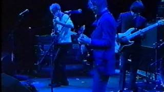 Paul Weller   I  really did'nt mean to hurt you   V96