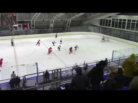 HK Crvena Zvezda - HK Sisak - 8/3/2022