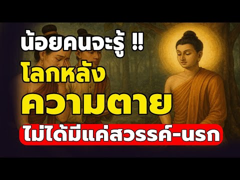 โลกหลังความตาย ไม่ได้มีแค่สวรรค์ นรก แต่มี ดินแดน ที่คุณคาดไม่ถึง? ตายแล้วไปไหน #ธรรมะสอนใจ